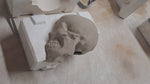 a clay skull before releasing this ceramic body from its mold.