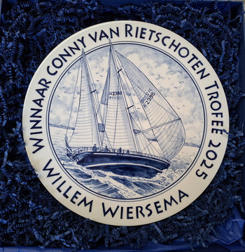 Delft blue special occasion plates